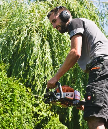 Michael Nijboer aan het werk — heggen snoeien