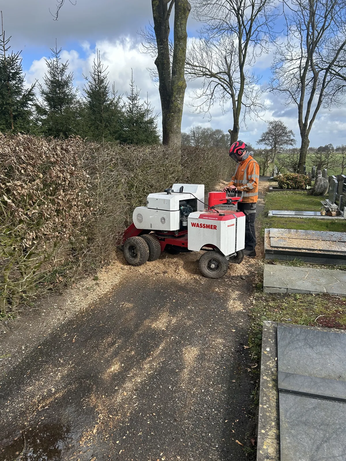Boomverzorging begraafplaats — foto 3