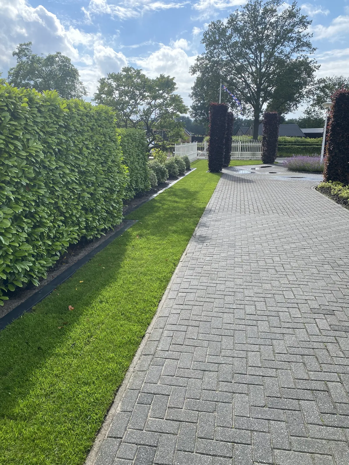 Gazonrenovatie met strak resultaat — foto 2