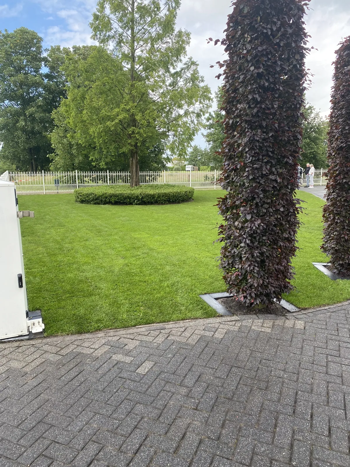 Gazonrenovatie met strak resultaat — foto 3