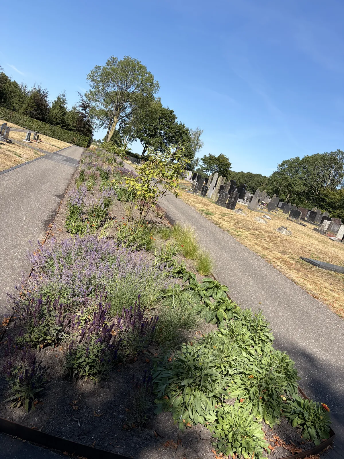 Vaste plantenborder begraafplaats — foto 2