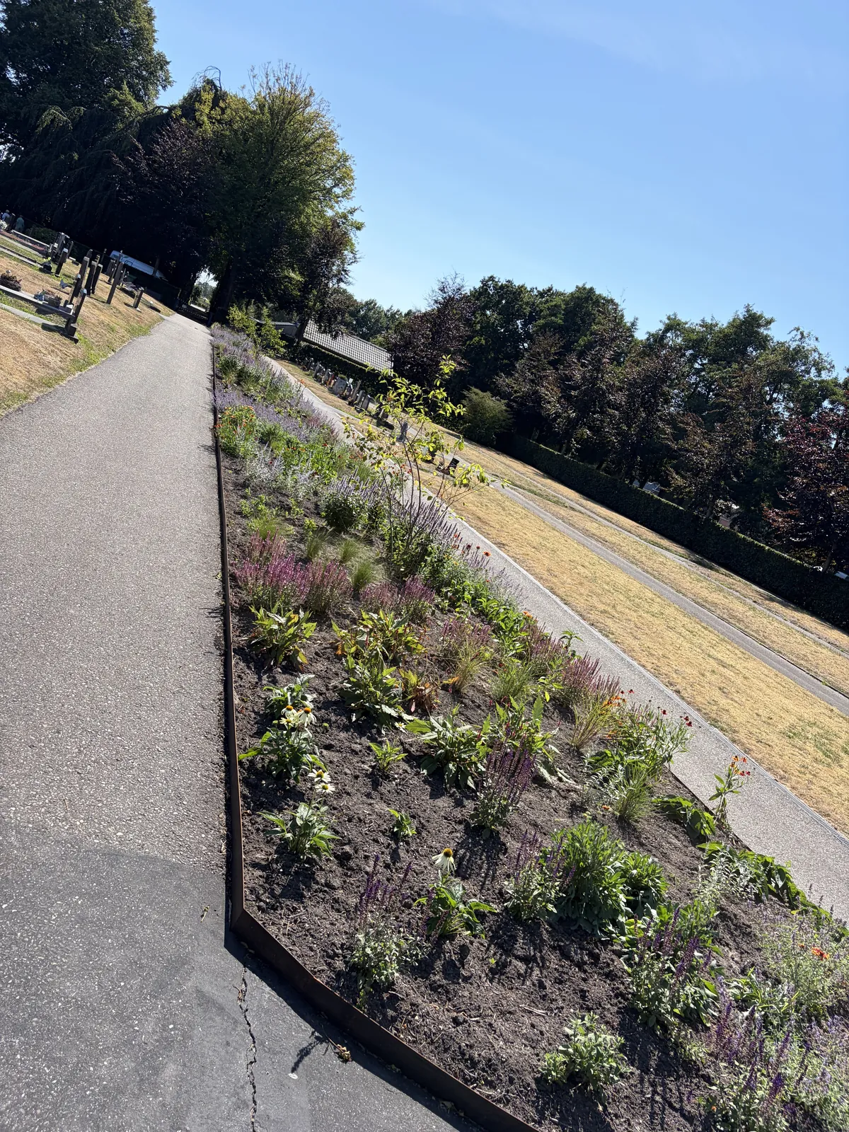 Vaste plantenborder begraafplaats