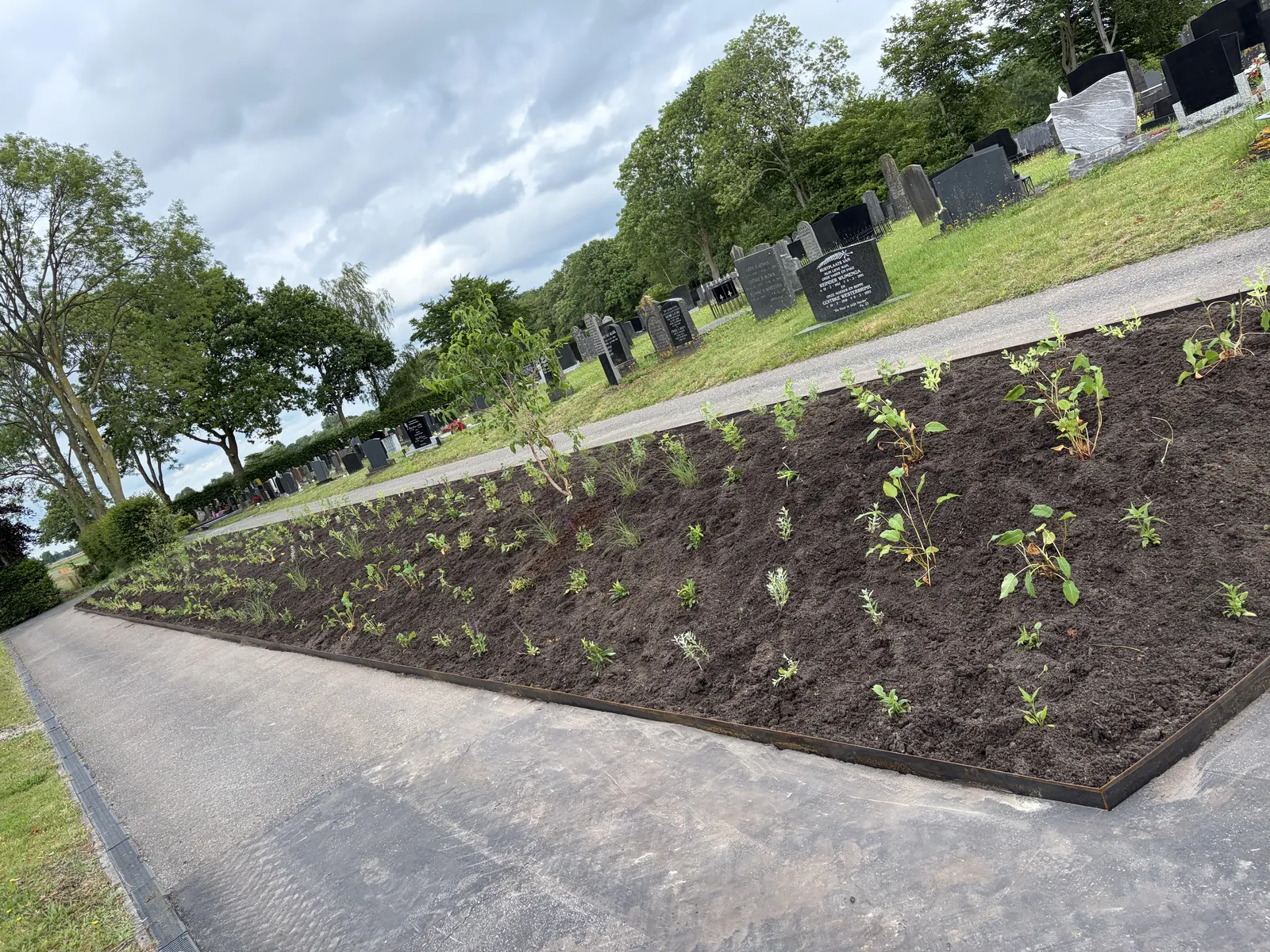 Vaste plantenborder begraafplaats — foto 4