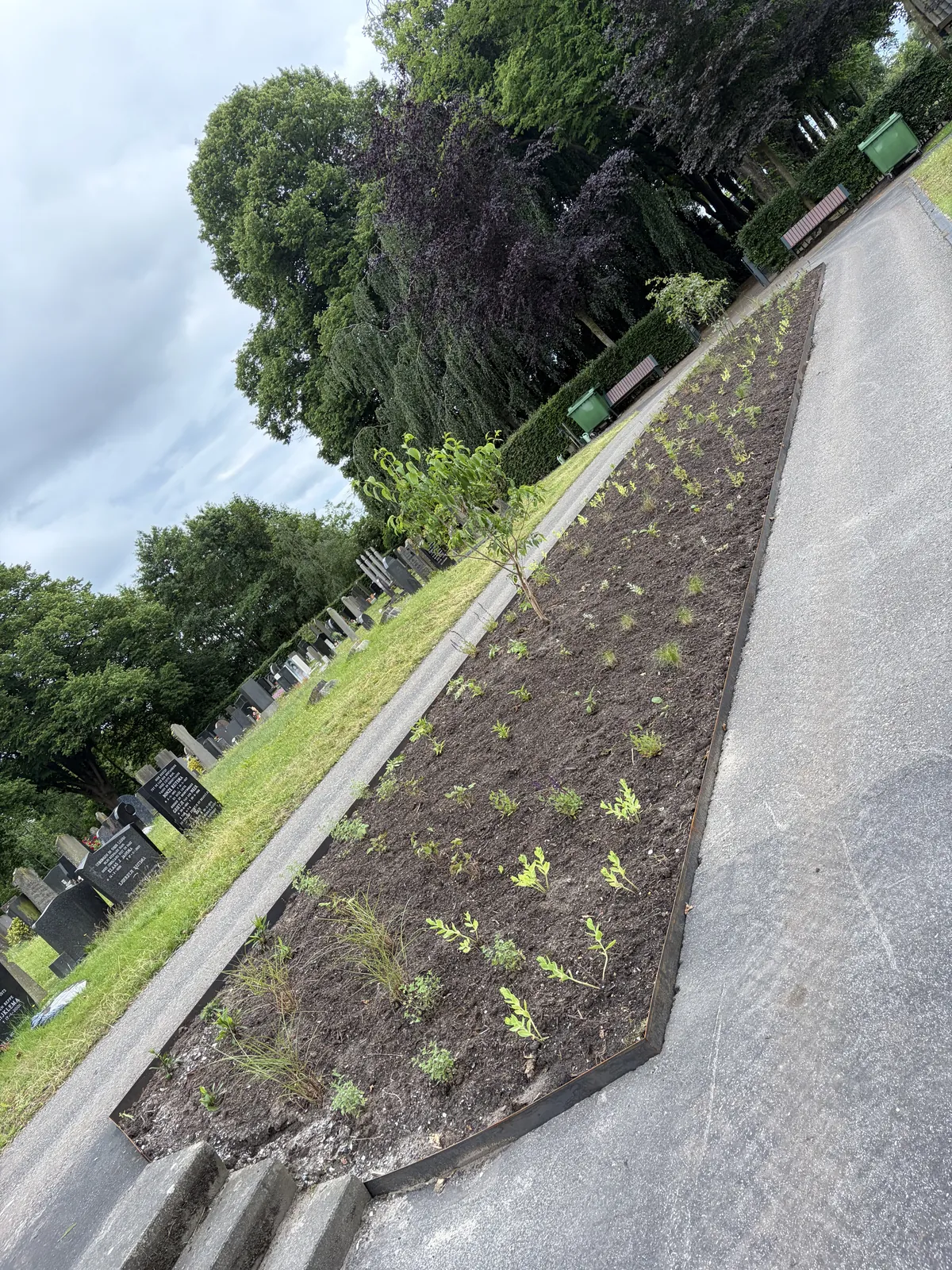 Vaste plantenborder begraafplaats — foto 5