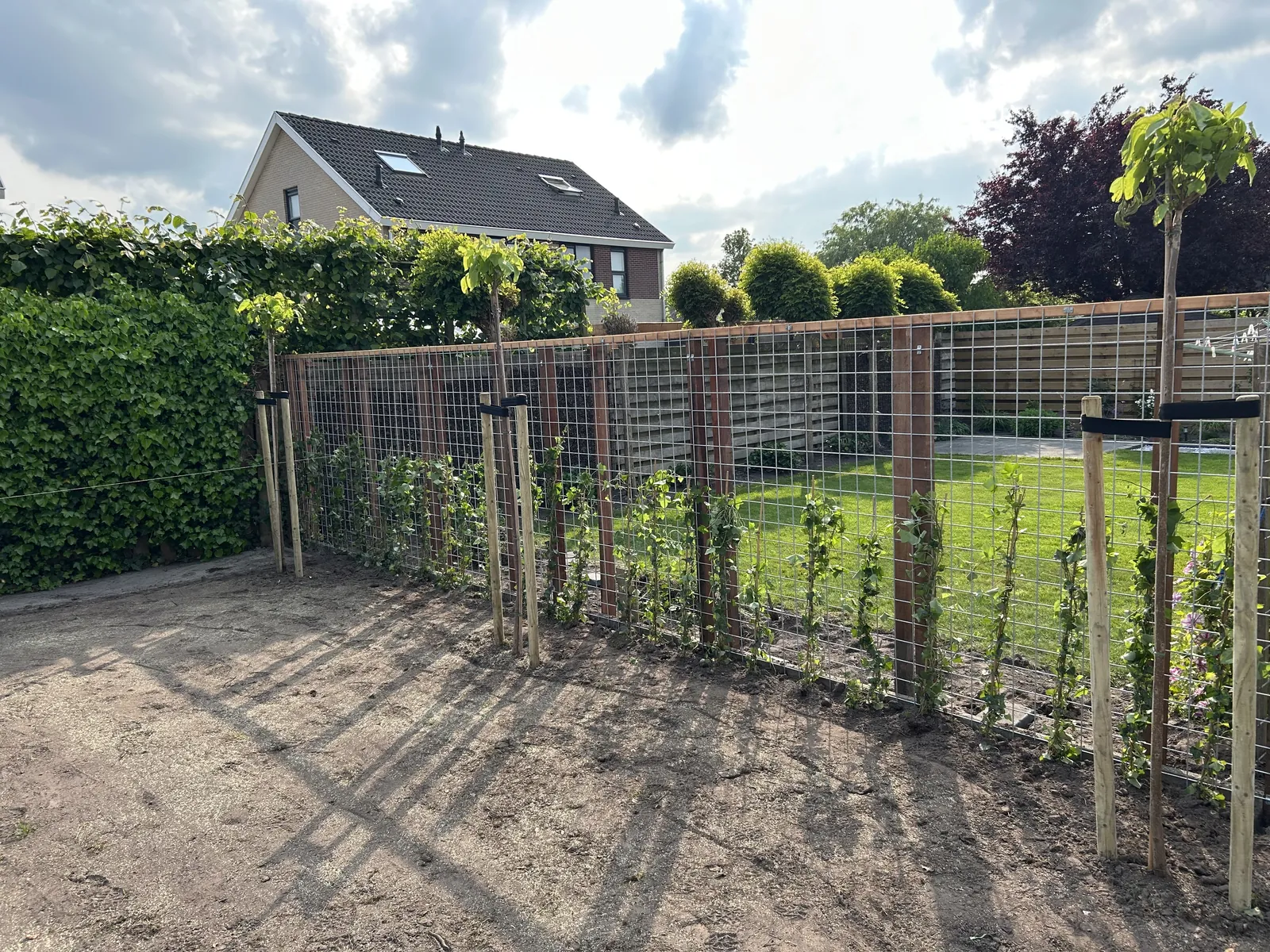 Voortuin met grind en hederaschutting — foto 6